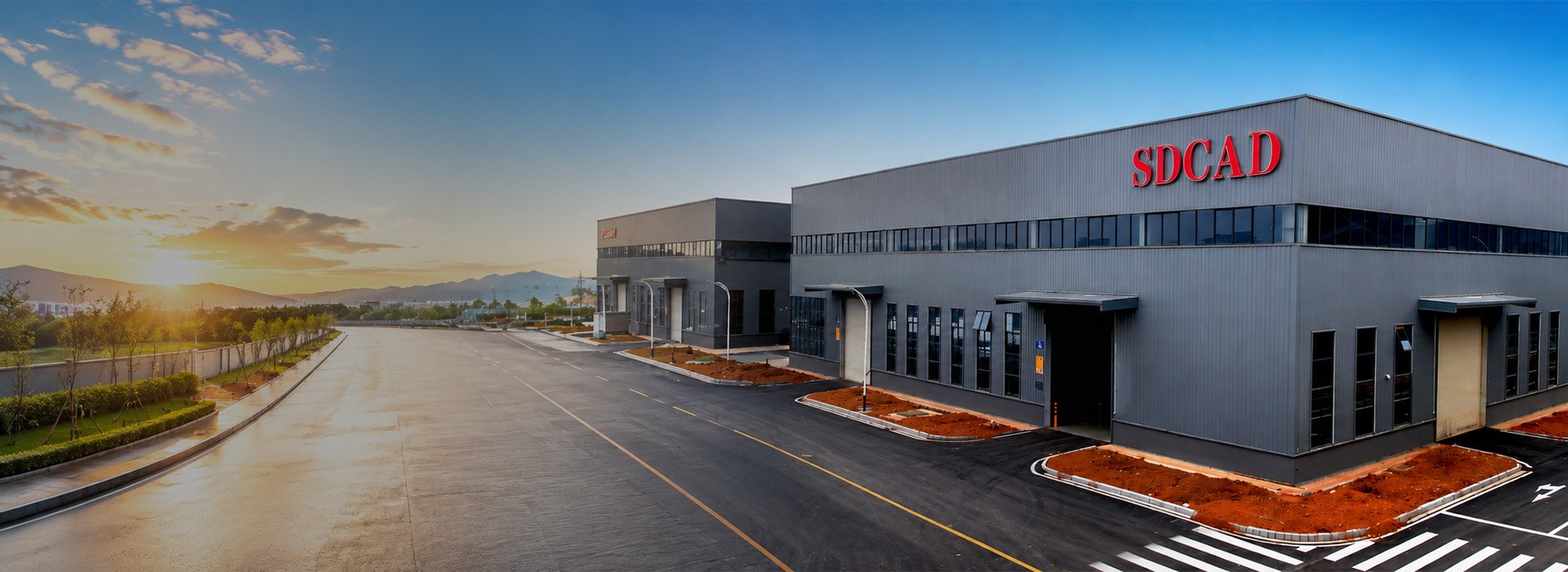 Successful Cases Achieved by SDCAD